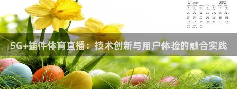 5G+插件体育直播：技术创新与用户体验的融合实践