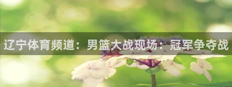 辽宁体育频道：男篮大战现场：冠军争夺战