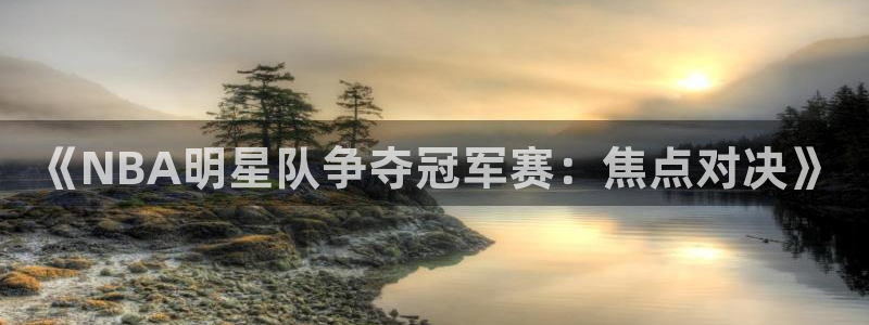 《NBA明星队争夺冠军赛：焦点对决》