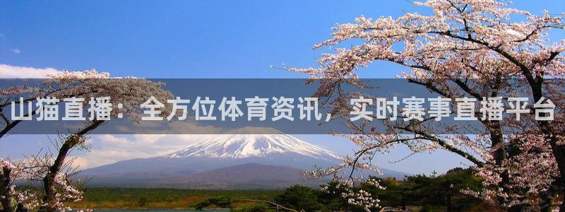 山猫直播：全方位体育资讯，实时赛事直播平台